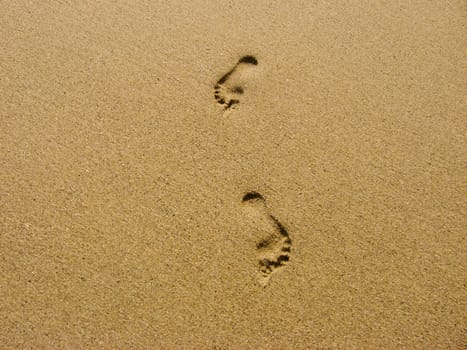 Traces of feet in the sand of a beach.
