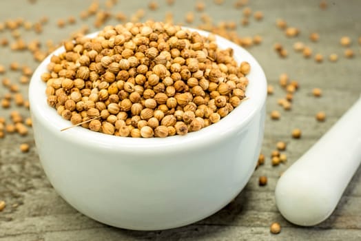 Coriander