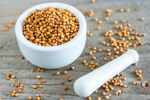 Coriander