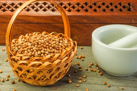 Coriander