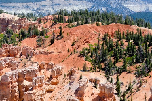 Bryce Canyon National Park in Utah in the United States of America