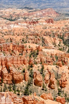 Bryce Canyon National Park in Utah in the United States of America