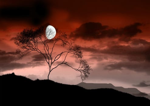 The full bright moon.