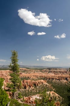 Bryce Canyon National Park in Utah in the United States of America