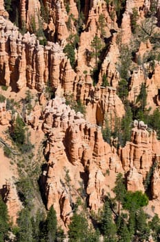 Bryce Canyon National Park in Utah in the United States of America
