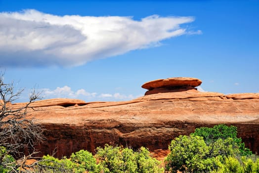 Arches National Park Devils Garden,Moab,Utah,USA