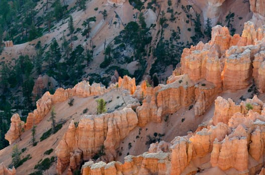 Bryce Canyon National Park in Utah in the United States of America