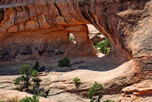 Arches National Park Devils Garden,Moab,Utah,USA
