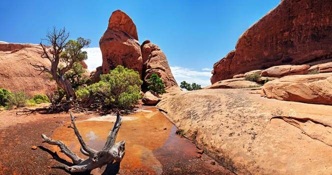 Arches National Park Devils Garden,Moab,Utah,USA