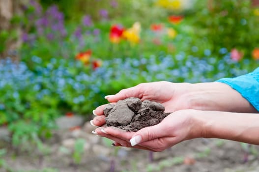 Handful of soil