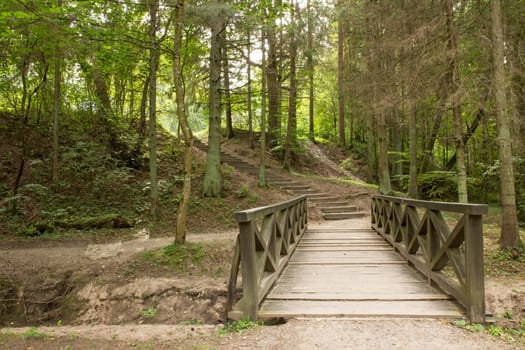 Path with wooden bridge and stairs in the green forest