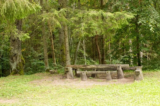 Picnic place in the green forest  at summer day