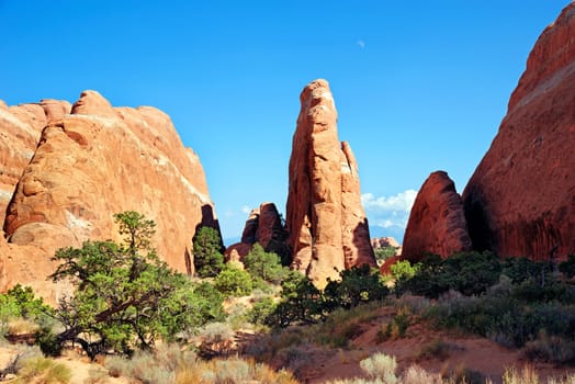 Arches National Park Devils Garden,Moab,Utah,USA