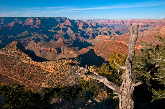 Grand Canyon in the evening light