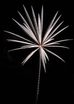 Fireworks scene in the dark