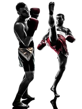 two caucasian  men exercising thai boxing in silhouette studio  on white background