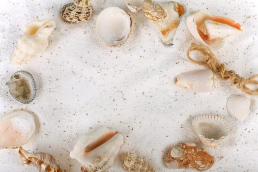 Shell frame