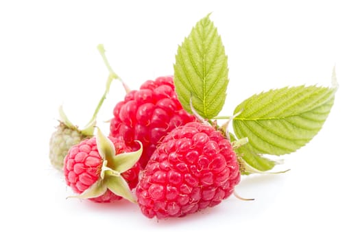 Raspberry pill  with leaves on white background