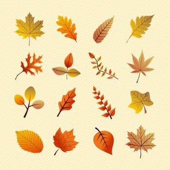 Fall season variety of tree leaves nature elements set. EPS vector file in layers for easy editing.