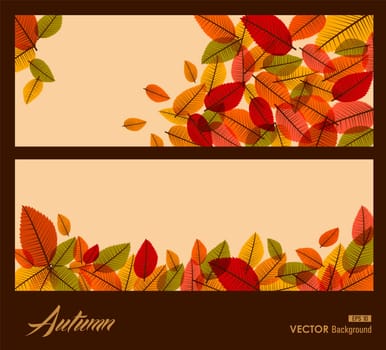 Autumn text over frame with flying leaves. Fall season composition background. EPS10 vector file with transparency for easy editing