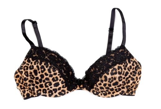 leopard print bra isolated on white background