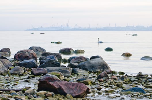 Stony coast of Baltic sea early in the morning