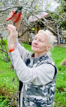 Woman cuts a branch at an Apple-tree, a spring in the garden