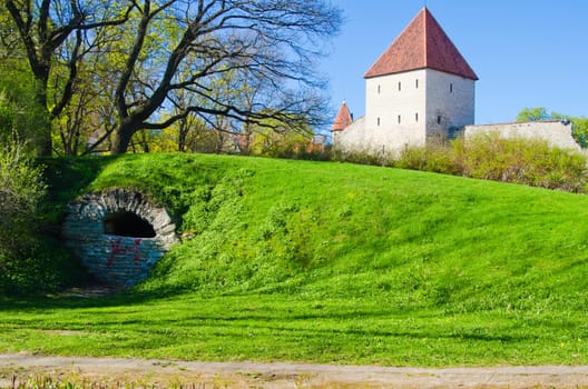 Spring in park of Tallinn