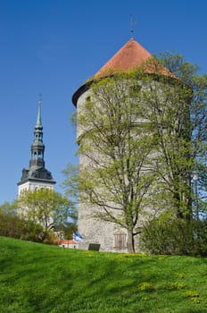 Spring in park of Tallinn