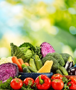 Composition with variety of fresh raw organic vegetables