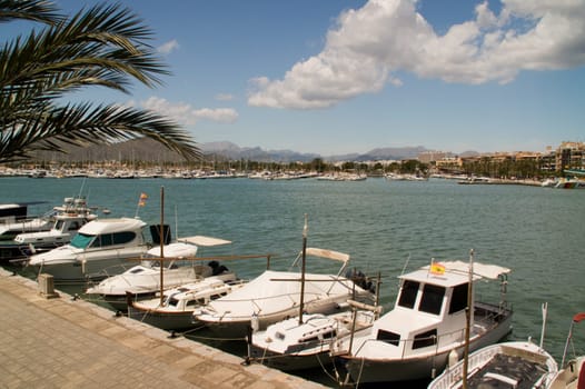 Fishing boats in the port of Alcudia in Mallorca