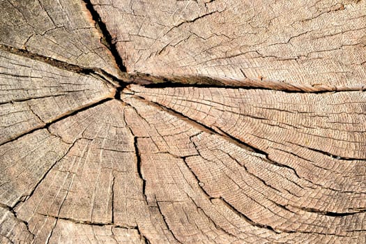 weathered wood