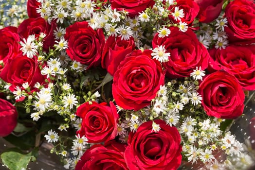 Bouquet of red roses with baby's breath flowers top view close up