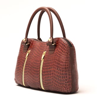 Crocodile leather women's handbag isolated on white background