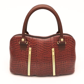 Crocodile leather women's handbag isolated on white background