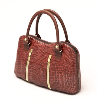 Crocodile leather women's handbag isolated on white background