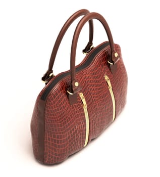 Crocodile leather women's handbag isolated on white background