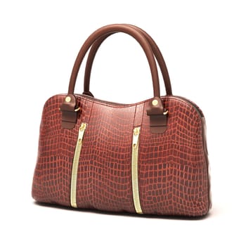 Crocodile leather women's handbag isolated on white background