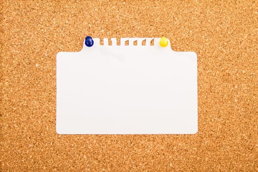 Cork board with blank paper pinned up
