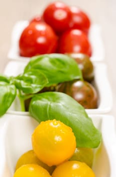 Wet tomatoes and basil in portrait format