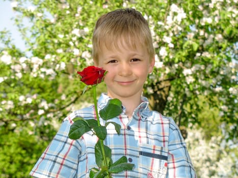 Rosenkavalier