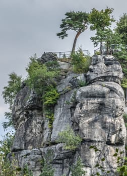 Viewpoint