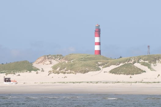 Amrum