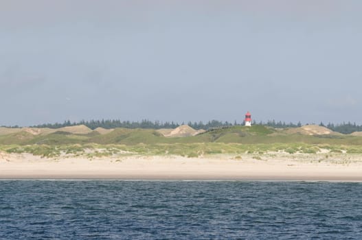 Amrum