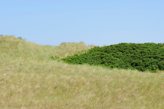 Sylt-Uthörn
