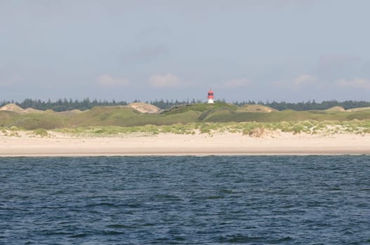 Amrum