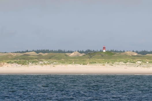 Amrum