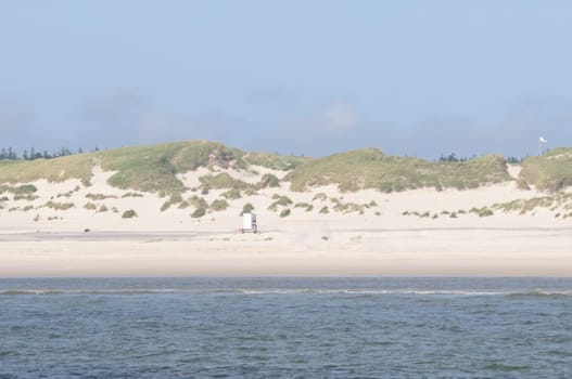 Amrum