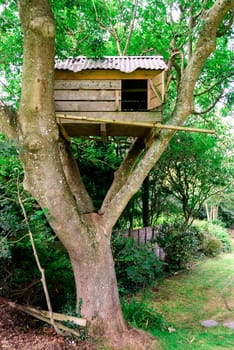 tree house in Tintagel in Cornwall