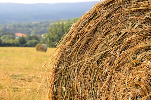 Straw in a harvested field